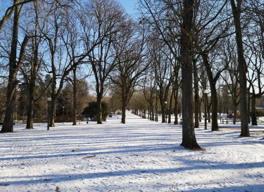 La Pépinière sous la neige